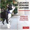 Long Lasting Leather Dog Collar for Large Dogs Medium Small Dogs