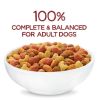Purina Beneful Originals Dry Dog Food Farm Raised Beef 40 lb Bag